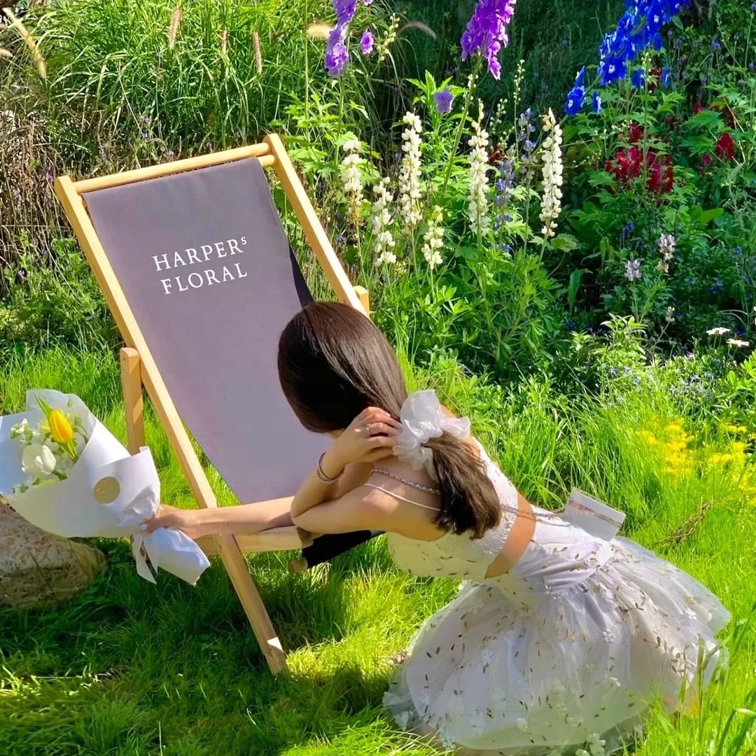 沉沦锦年如初见